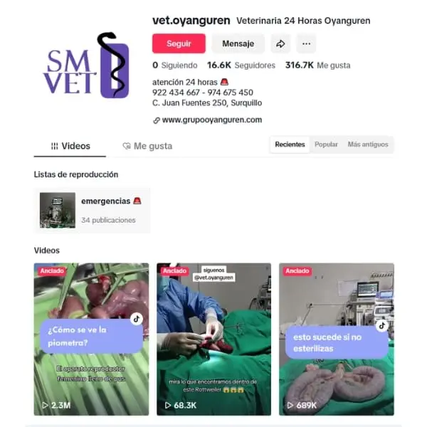 Captura de pantalla de una cuenta de tik Tok de una veterinaria 24 horas que cuenta con 16,000 seguidores y 300,000 me gusta así como con varios videos virales